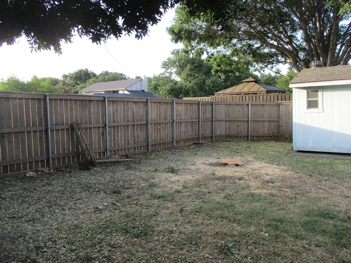 Cleared yard after professional tree removal in Choccolocco